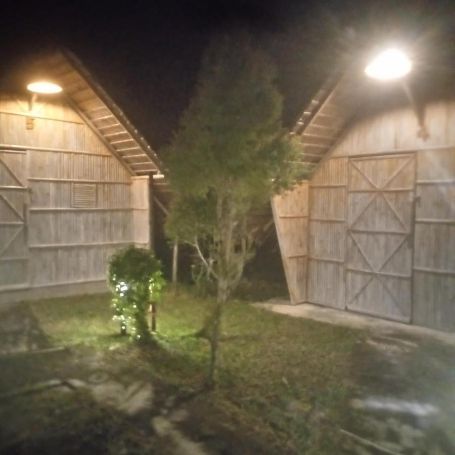 Koh Mook Oyoy Reggaebar Bungalow Eksteriør billede